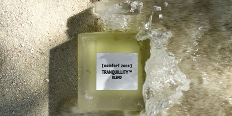 TRANQUILLITY / СПОКОЙСТВИЕ