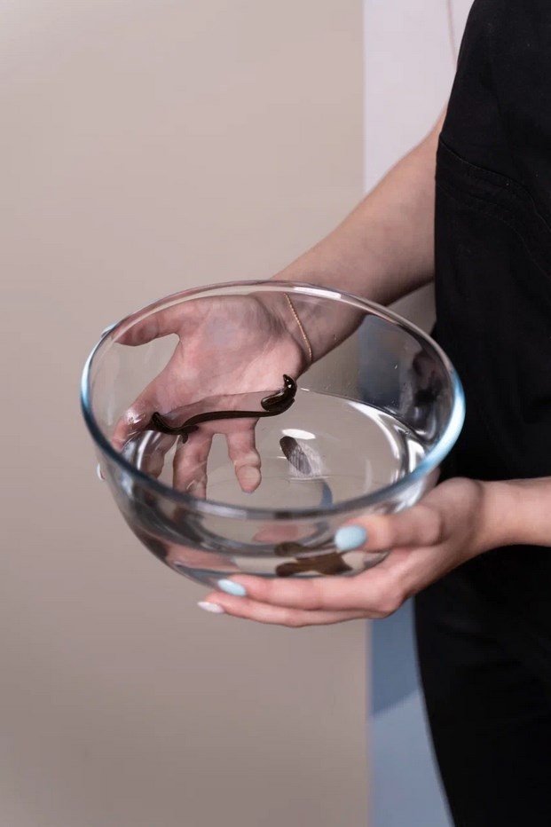 О процедуре